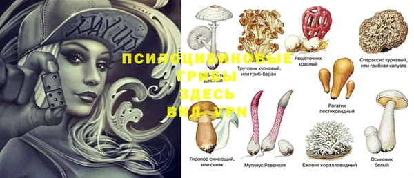 стафф Беломорск