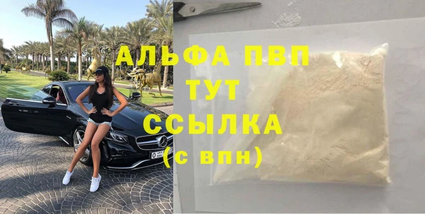 индика Слюдянка