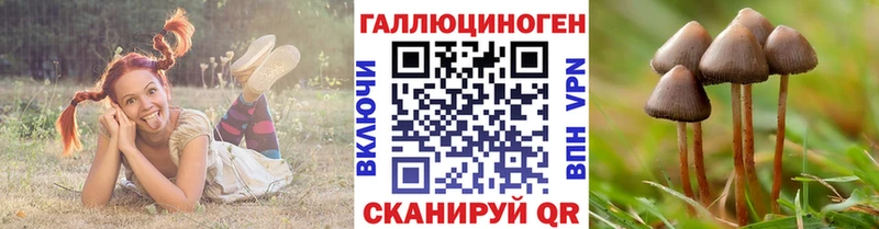 Галлюциногенные грибы Psilocybine cubensis  Окуловка 
