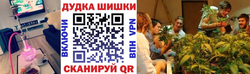 Шишки марихуана план  это наркотические препараты  Окуловка 